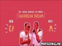 Black Shadow x QQ x Dj Bravo - Caribbean Dream - DJ Bravo Mp3 Song