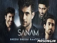 Bheegi Bheegi Raaton Mein - Sanam Puri mp3 song
