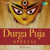 Maa Durga Bijoya