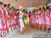 Hamar Piya Nirbudhiya--Full 2 Pagal Dance Mix Dj Shashi