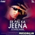 Ek Pal Ka Jeena (Remix) Raesz Artiste Remix