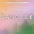 Sandese Aate Hai (Remix) - DJ Ayan n MR. JE3T Poster