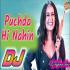 Puchda Hi Nahi Dj Remix Song Dj Vikas Remixer Poster