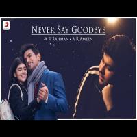 Never Say Goodbye Mp3 Song Download