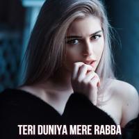 Teri Duniya Mere Rabba   Sahir Ali Bagga Mp3 Song Pagalworld Download