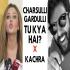 Charsulli Gardulli (Rakhi Sawant) Kachra Gaadi Remix Gaana Download Poster