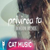 Privirea Ta (Boehm Remix) DJ Project