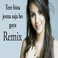 Tere Bina Jeena Saza TikTok Dytoo DJ Remix