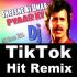 Shishe Ki Umar Pyale Ki TikTok DJ Remix PagalWorld