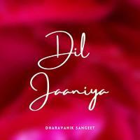 Janiya O Dil Janiya Imlie - Dharavahik Sangeet
