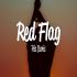 Red Flag   Pia Baris