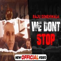 We Don't Stop   Raju Dinehwala
