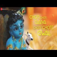 Choti Choti Gaiya   Payal Dev