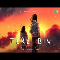 Tere Bin   The Shining Tone