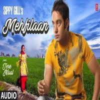 Mehfilaan   Sippy Gill