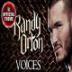 Randy Orton Theme Poster