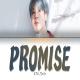 Promise Jimin